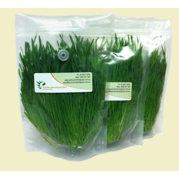 Fresh Wheatgrass